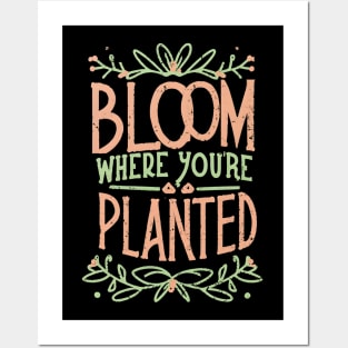 Bloom where you are planted Posters and Art